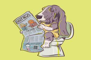 Are Basset Hounds Hard To Potty Train?